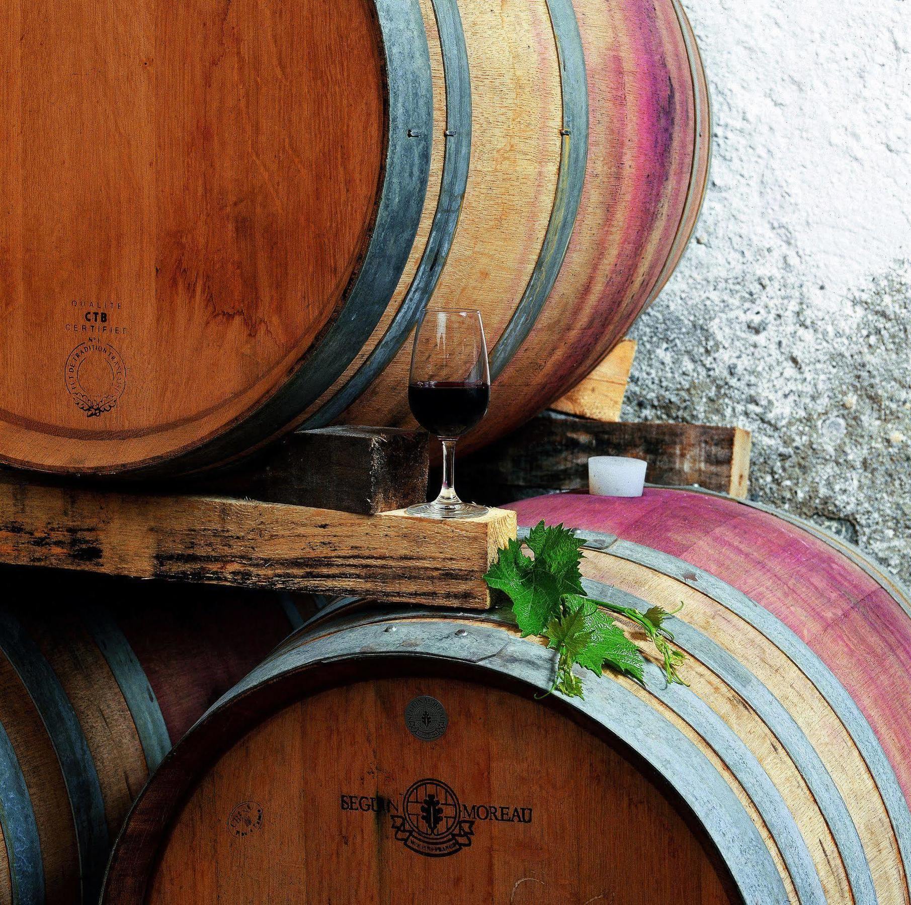 Tenuta Casabianca ムルロ エクステリア 写真
